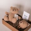 kraam cadeau - Teddy beer en muziekhanger