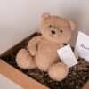 kraam cadeau - teddy beer