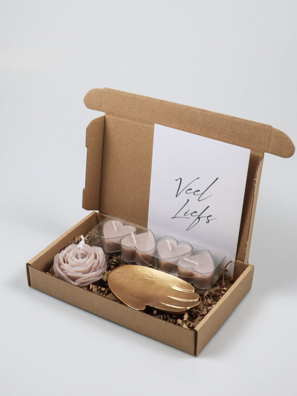 Brievenbuscadeau Veel Liefs Zusss