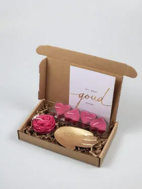 Brievenbuscadeau Jij Bent Goud Waard Zusss