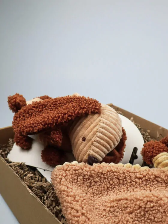 Baby cadeaupakket Diego hond – Jollein speendoekje & wagenhanger