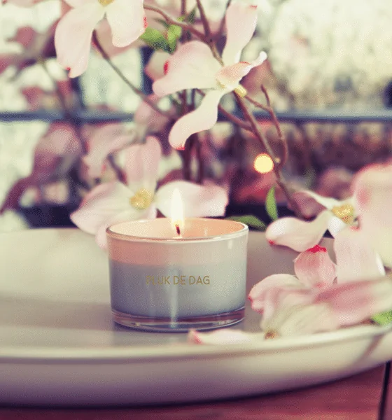 Sojakaars Pluk de Dag – Fig’s Delight geur