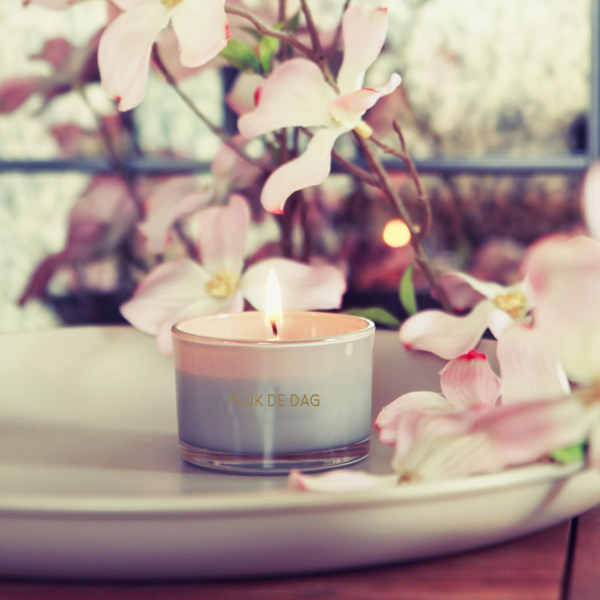 Sojakaars Pluk de Dag – Fig’s Delight geur