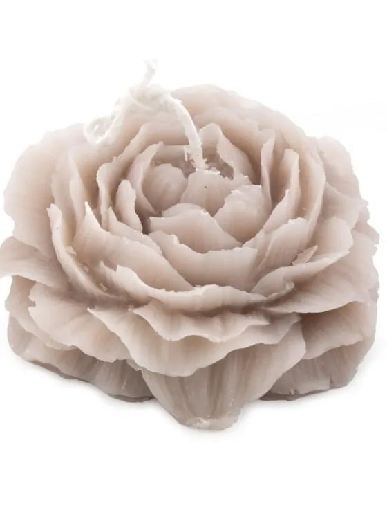 Soyakaars roos beige - groot