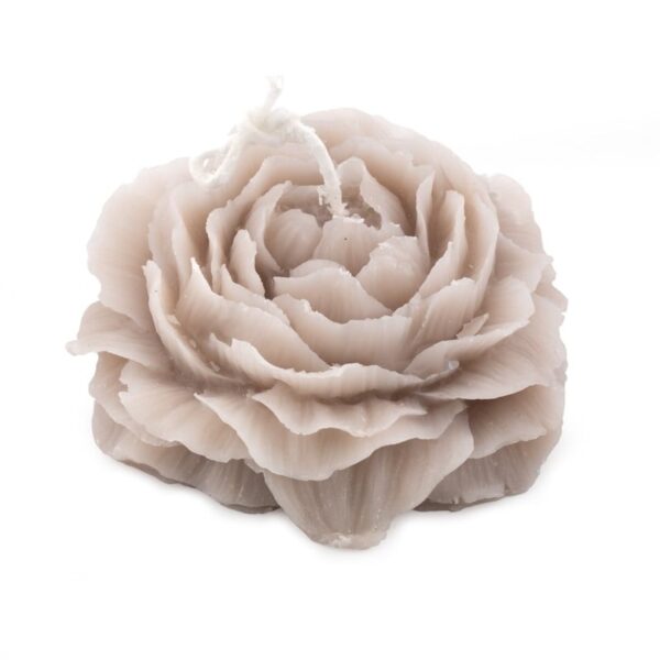 Soyakaars roos beige - groot