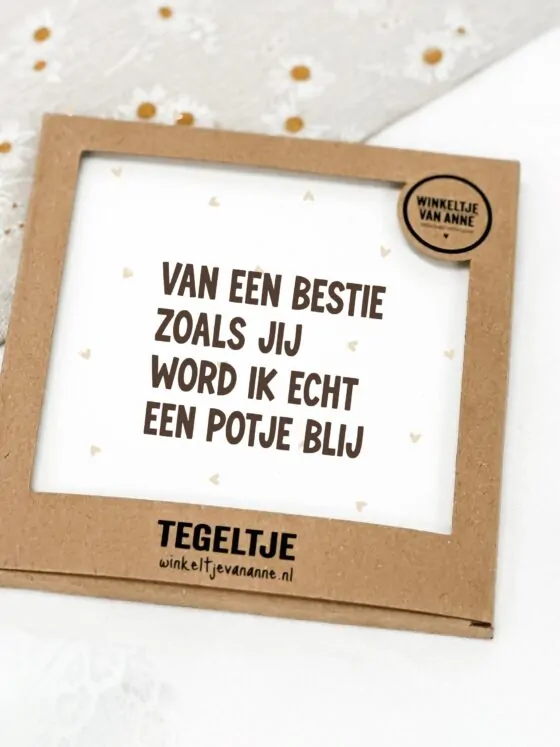 Tegeltje Bestie zoals jij – Vriendinnen cadeau op Forex