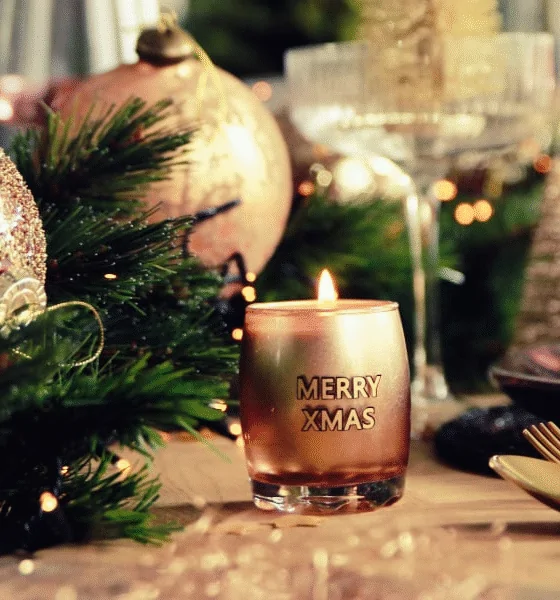 Sojakaars Merry X-Mas - Winter wood