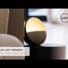 BRAINZ Wake Up Light Taupe – Bluetooth Speaker & Zonsopgangsimulatie BRAINZ Wake Up Light Taupe – Bluetooth Speaker & Zonsopgangsimulatie