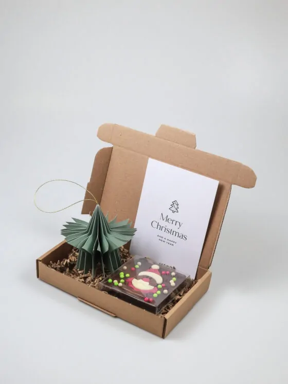 Brievenbuscadeau kerst met melkchocolade kerstman en groen ornament