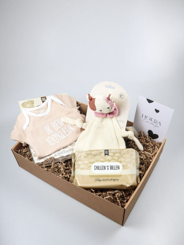 Cadeaupakket meisje met katje Jill, rompertje en billendoekjes