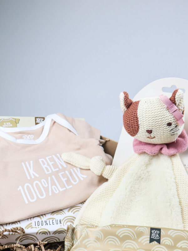 Cadeaupakket meisje met katje Jill, rompertje en billendoekjes