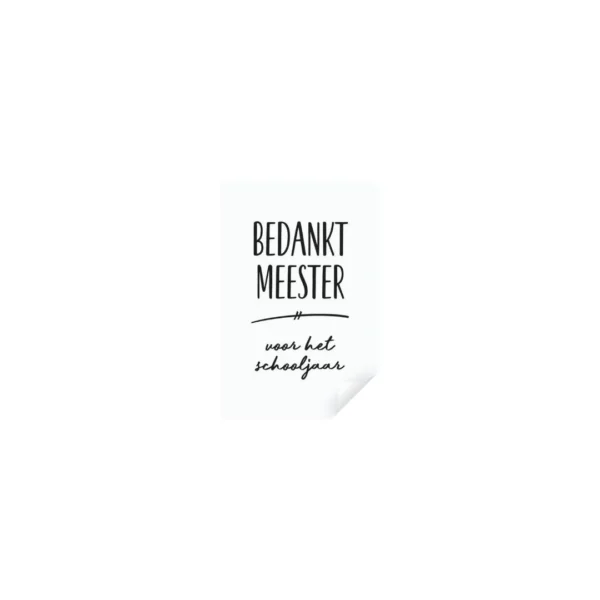 bedankt meester voor het schooljaar_resultaat