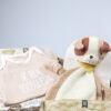 Cadeaupakket jongen met knuffel van Jollein, rompertje en billendoekjes