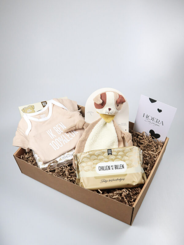 Cadeaupakket jongen met knuffel van Jollein, rompertje en billendoekjes