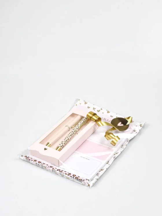 Dagplanner cadeau met set pennen