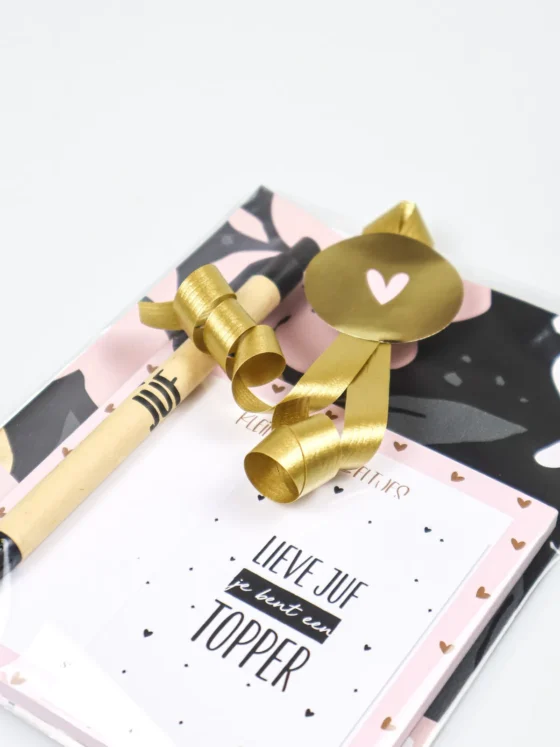 Juffen cadeautje met notitieblok en pen