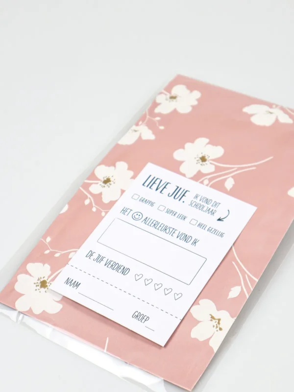 Juffen cadeau - Set pennen